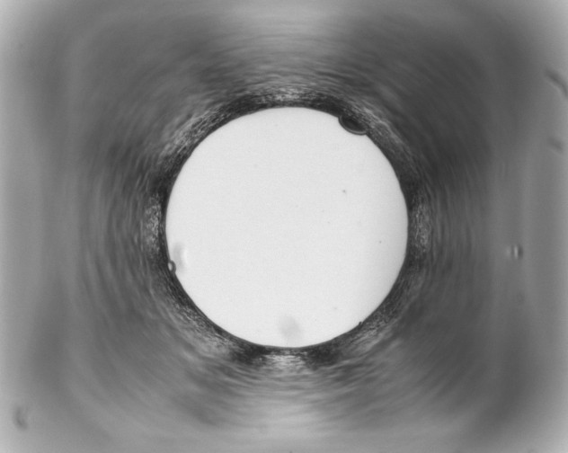 X0000102270509200808151907