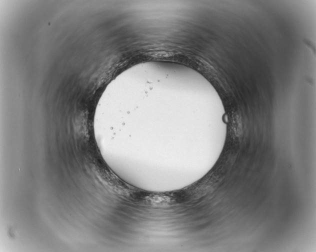 X0000102270512200808151907