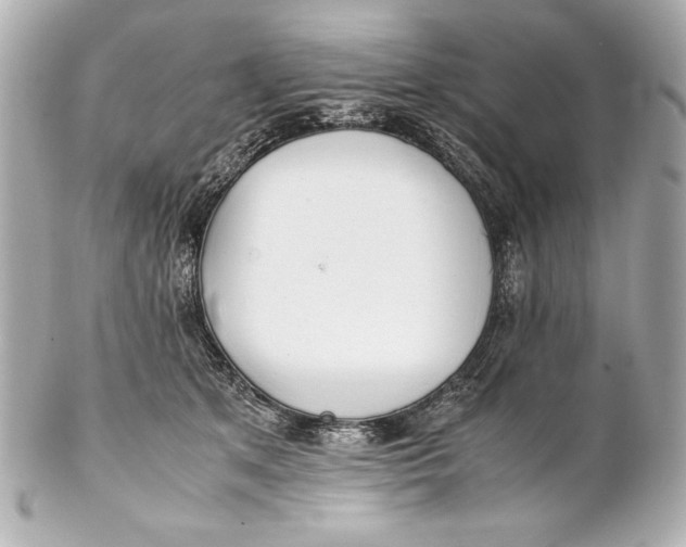 X0000102270513200808151907