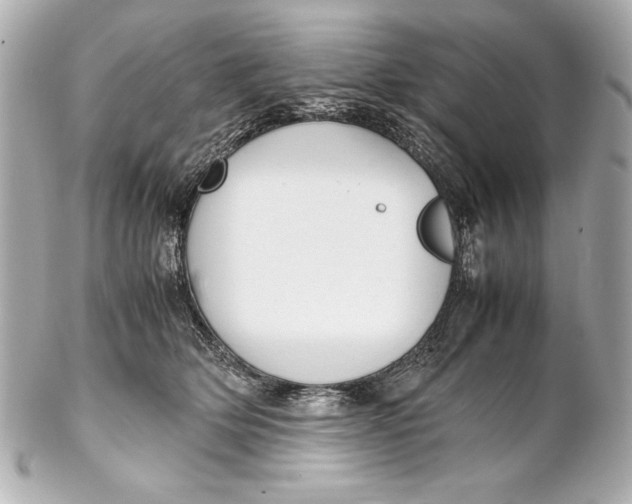 X0000102270514200808151907