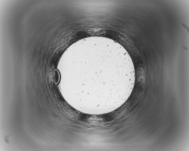 X0000102270515200808151907