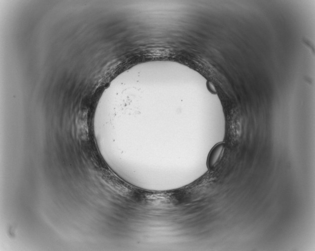 X0000102270516200808151907