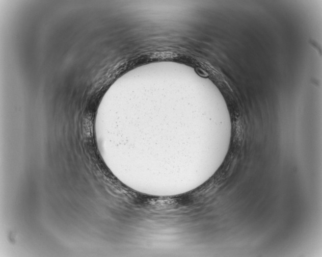 X0000102270517200808151907