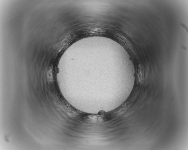 X0000102270520200808151907