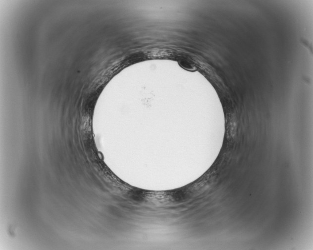 X0000102270521200808151907