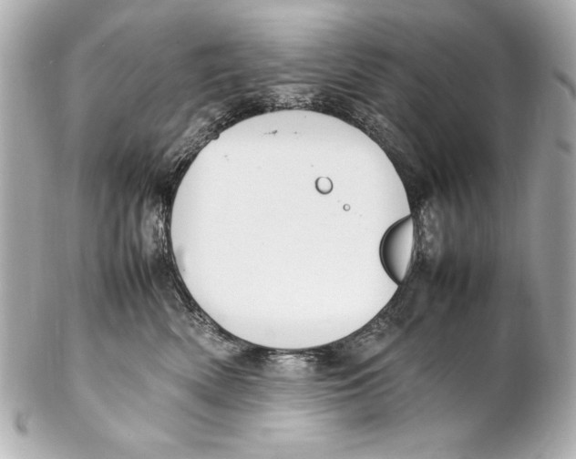 X0000102270522200808151907