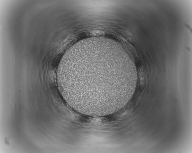 X0000102270523200808151907