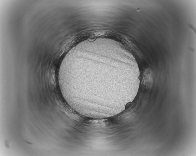 X0000102270524200808151907