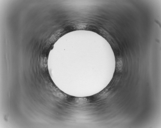 X0000102270525200808151907