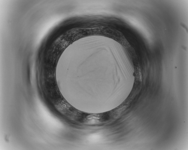 X0000102270526200808151907