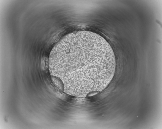 X0000102270528200808151907