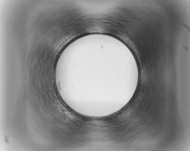 X0000102270529200808151906