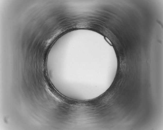 X0000102270530200808151906