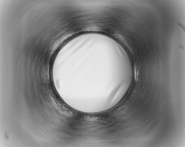 X0000102270531200808151906