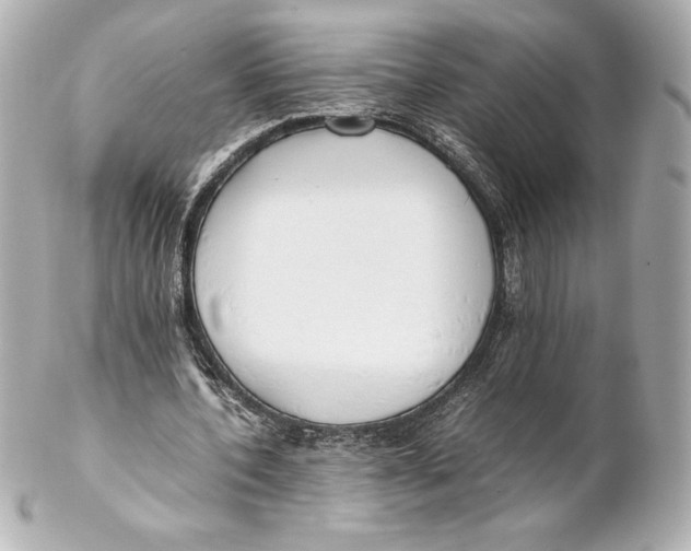 X0000102270532200808151906