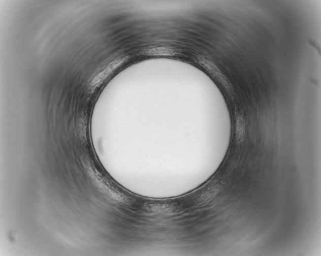 X0000102270533200808151906