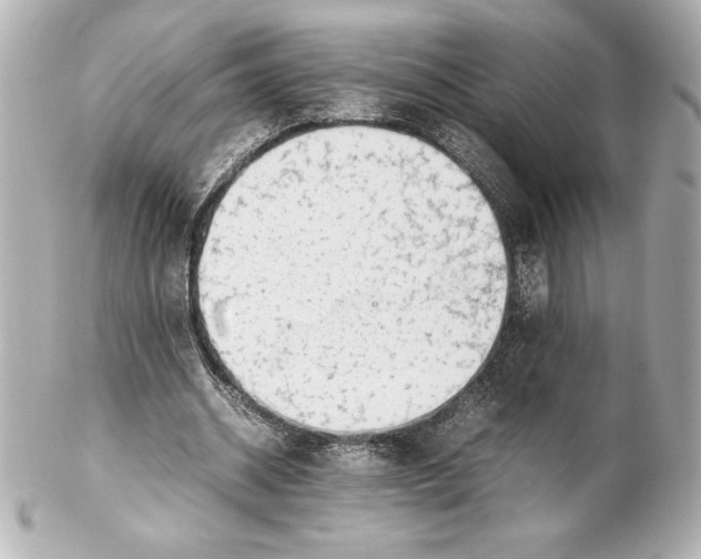 X0000102270534200808151906