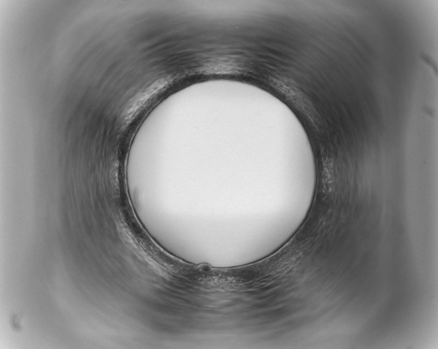 X0000102270535200808151906