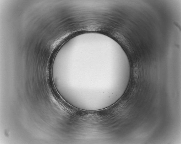 X0000102270536200808151906