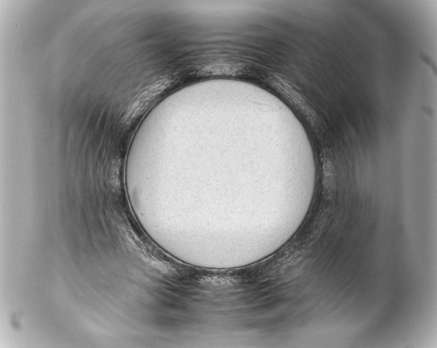 X0000102270537200808151907