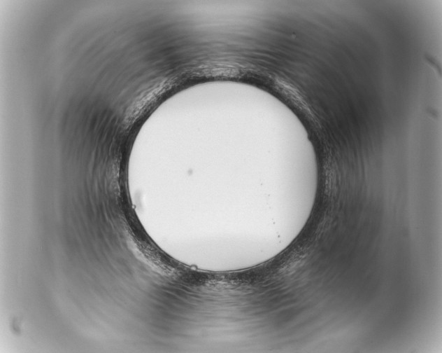 X0000102270538200808151907