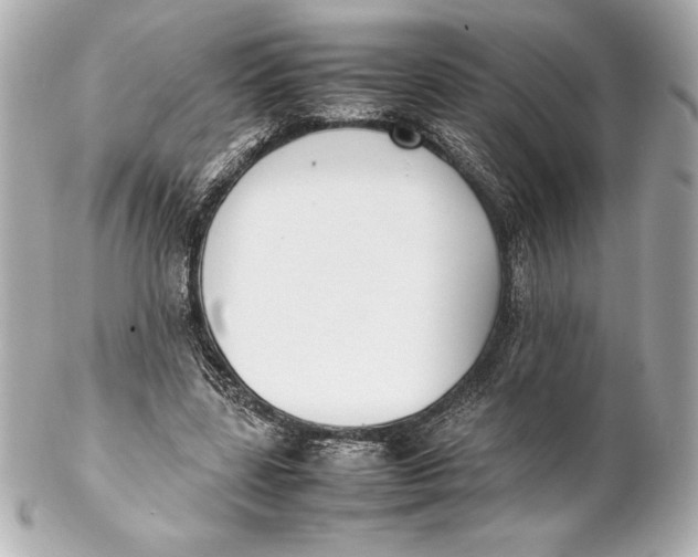 X0000102270539200808151907