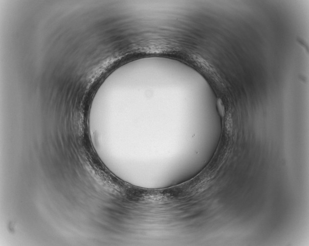 X0000102270540200808151907