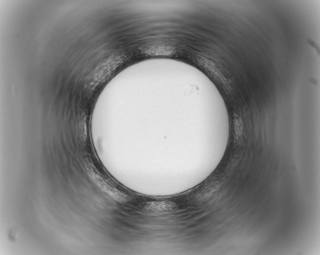 X0000102270541200808151907