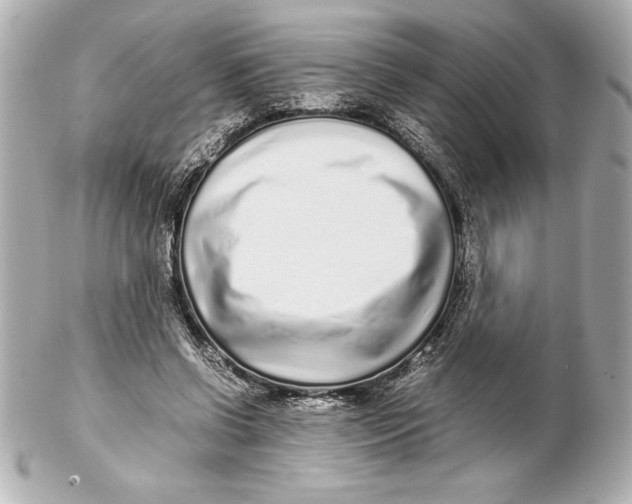 X0000102270542200808151907