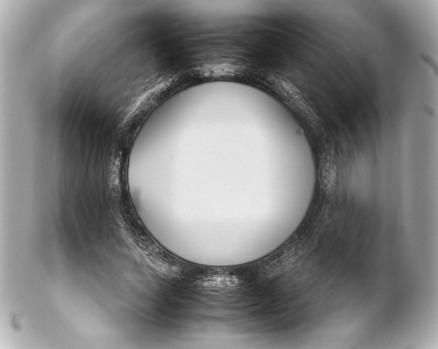 X0000102270543200808151907