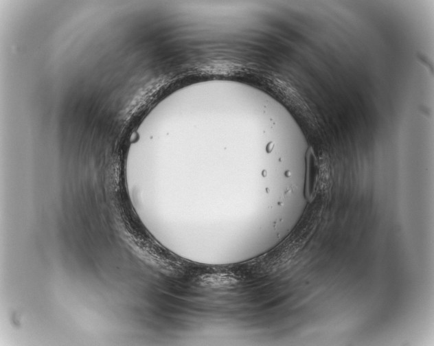 X0000102270544200808151907