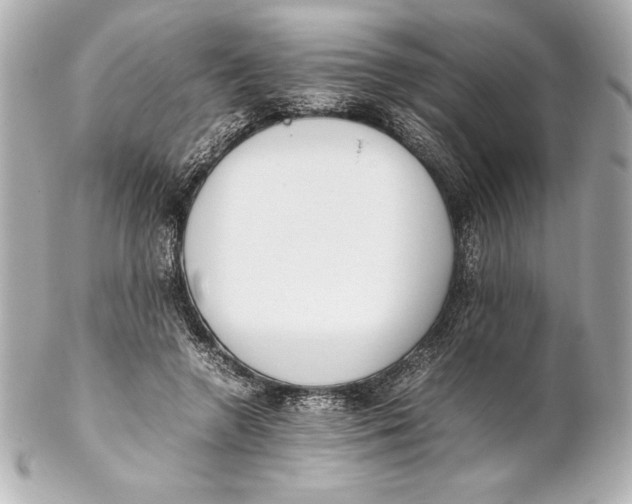 X0000102270546200808151907