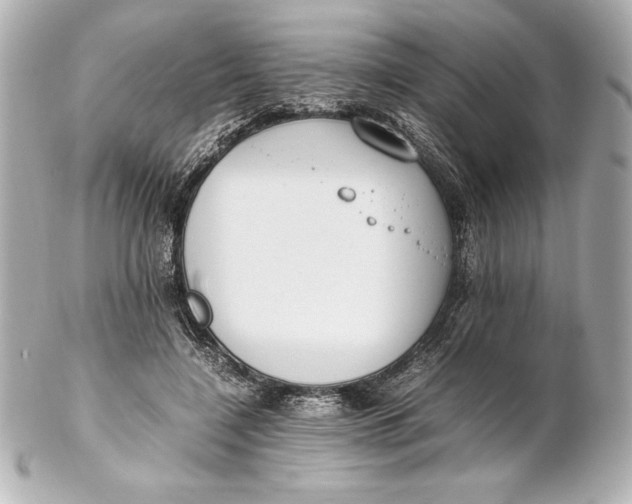 X0000102270548200808151907