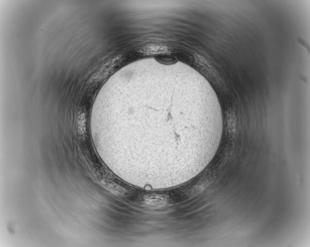 X0000102270549200808151907