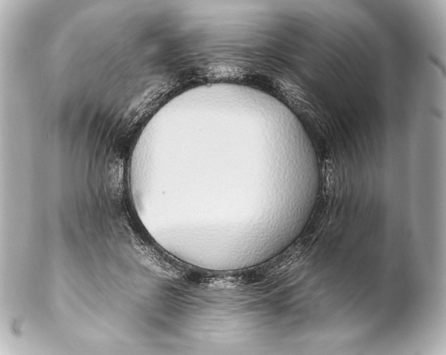 X0000102270550200808151907