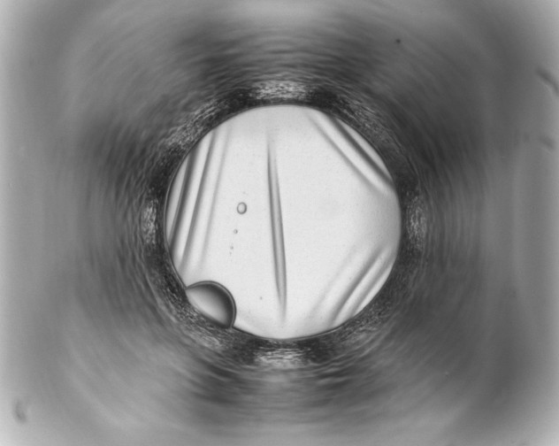 X0000102270551200808151907