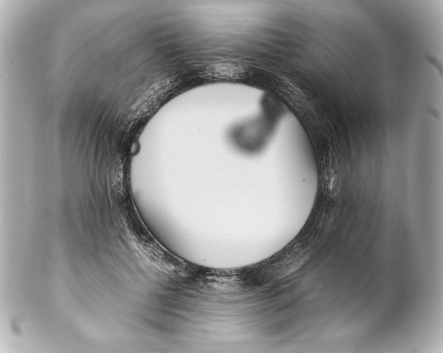 X0000102270552200808151907