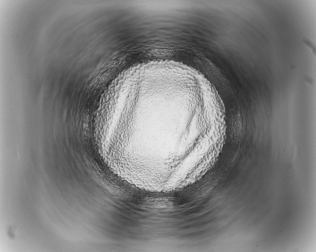 X0000102270553200808151907