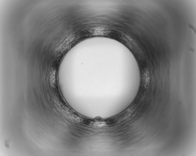 X0000102270554200808151907