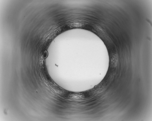 X0000102270555200808151907