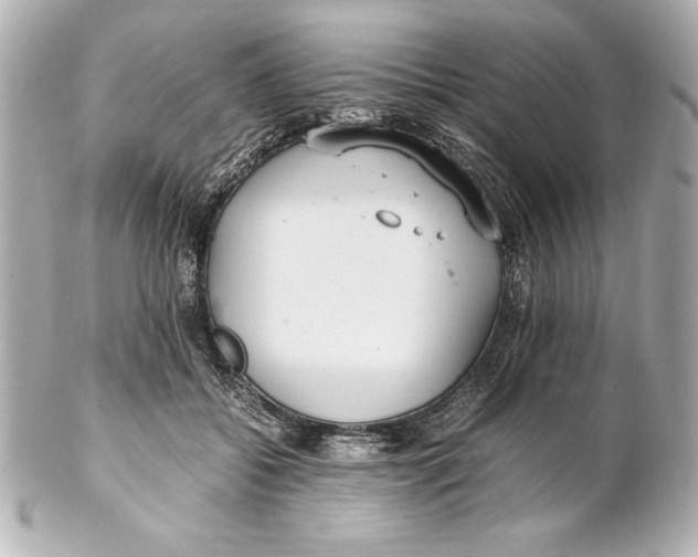 X0000102270556200808151907