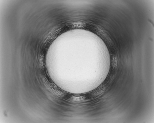 X0000102270557200808151907