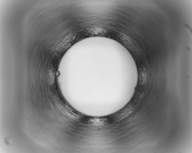 X0000102270558200808151907