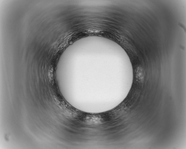 X0000102270559200808151907