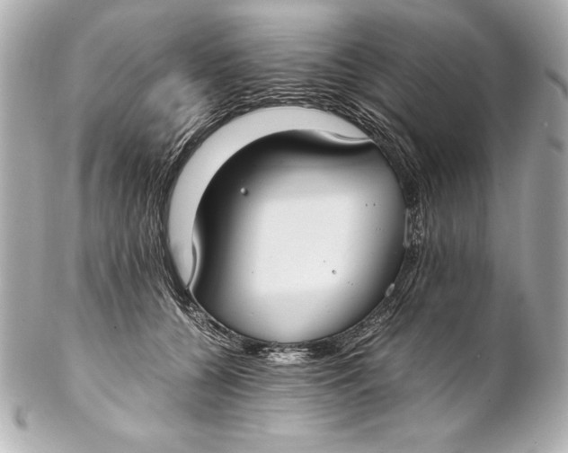 X0000102270560200808151907