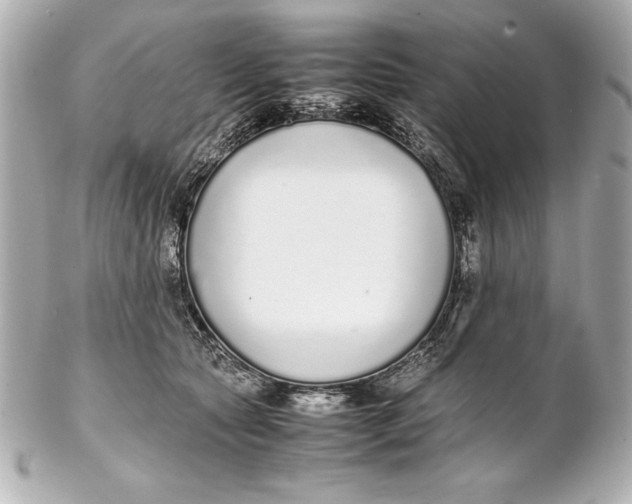 X0000102270561200808151907