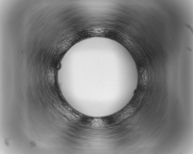 X0000102270562200808151907