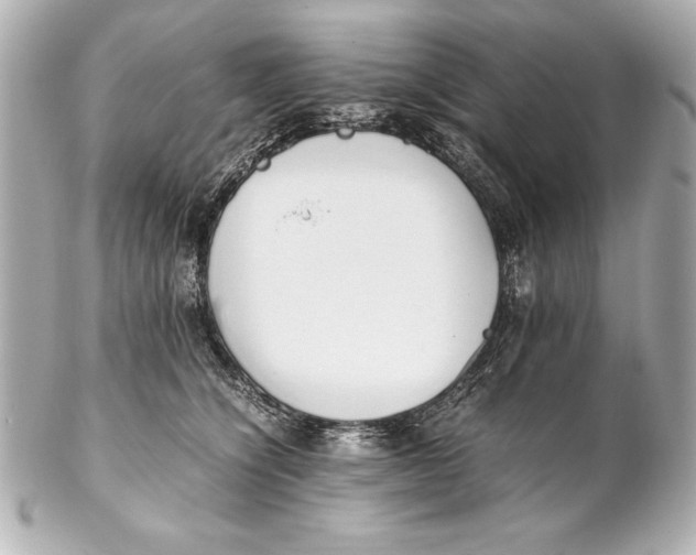 X0000102270564200808151907