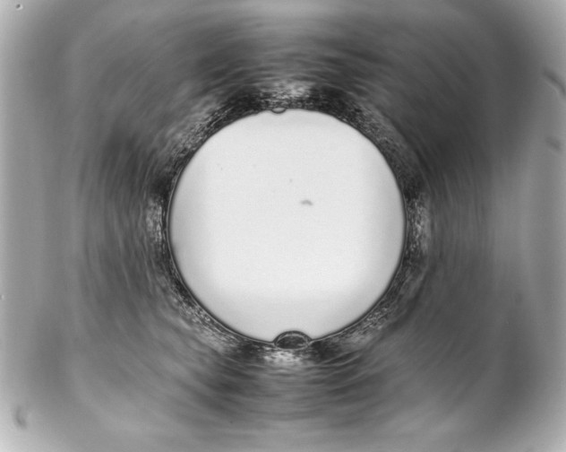 X0000102270565200808151907