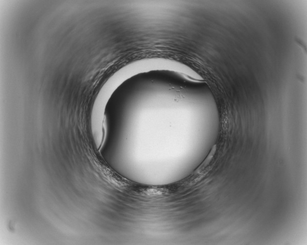 X0000102270566200808151907